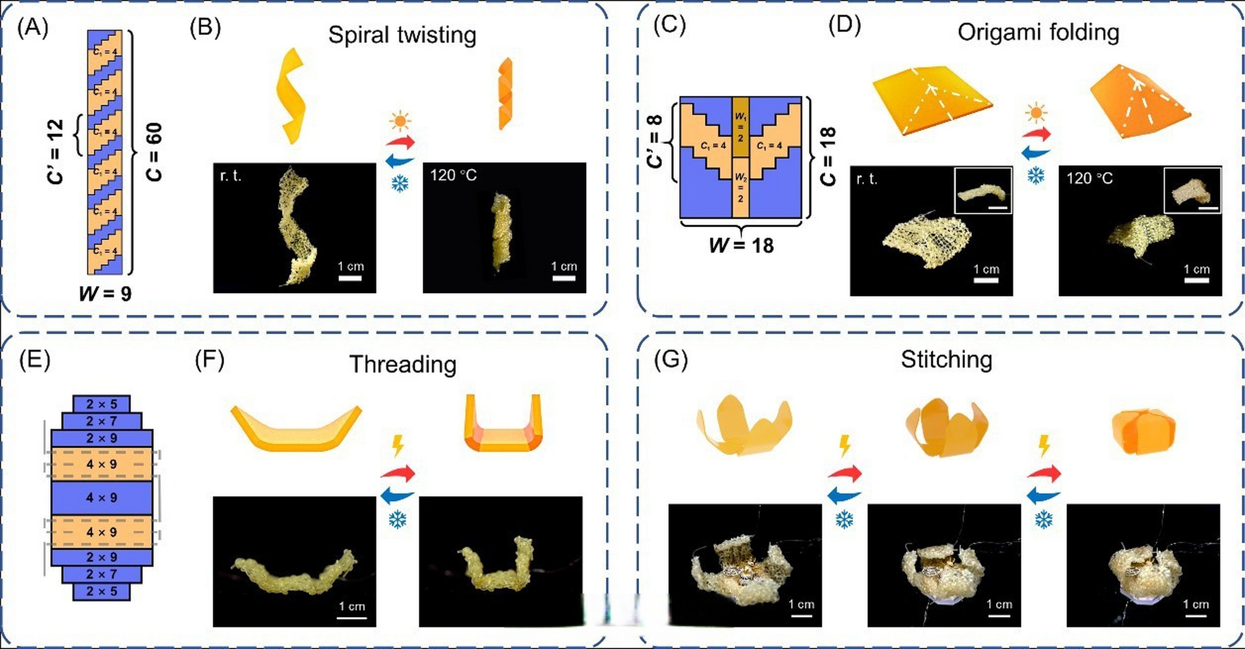 科研速递# 【化学系杨忠强课题组利用针织技术增材制造液晶弹性体
