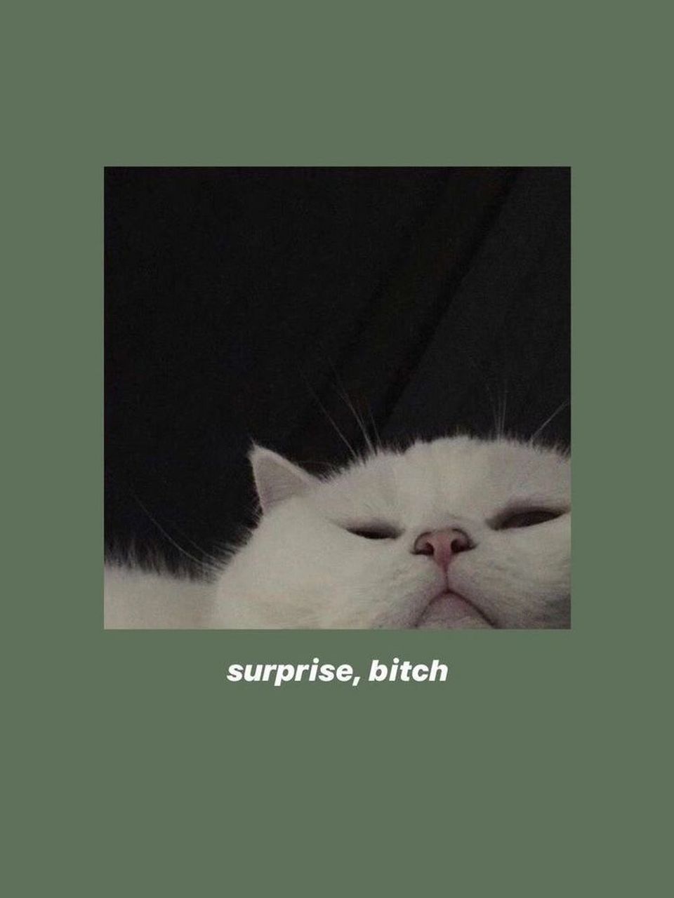 绿色护眼壁纸复古欧美英文ins风朋友圈背景 绿色壁纸清新脱俗,烦心的