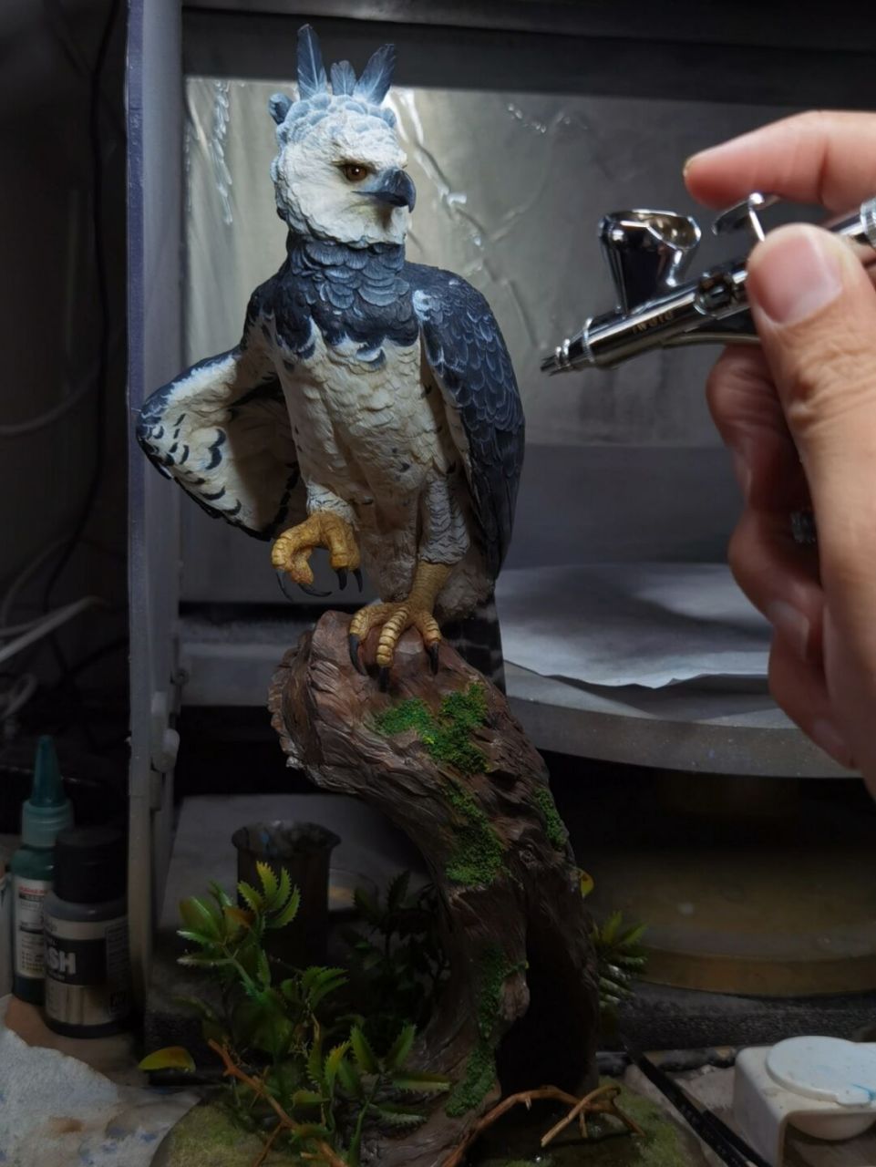 如何在家里养一只哈佩角雕?