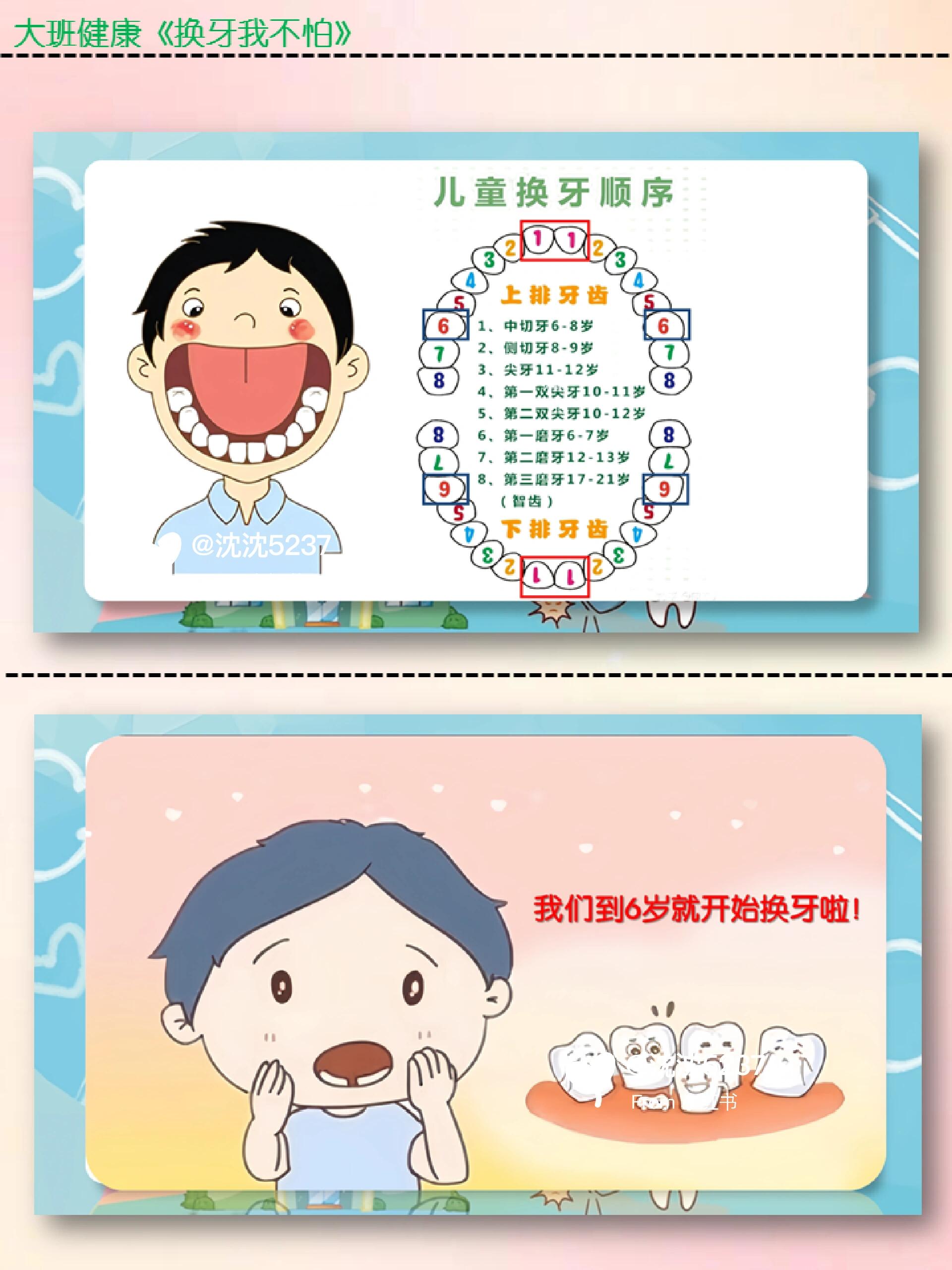《换牙我不怕》 今日更新:幼儿园公开课大班健康《换牙我不怕》ppt&