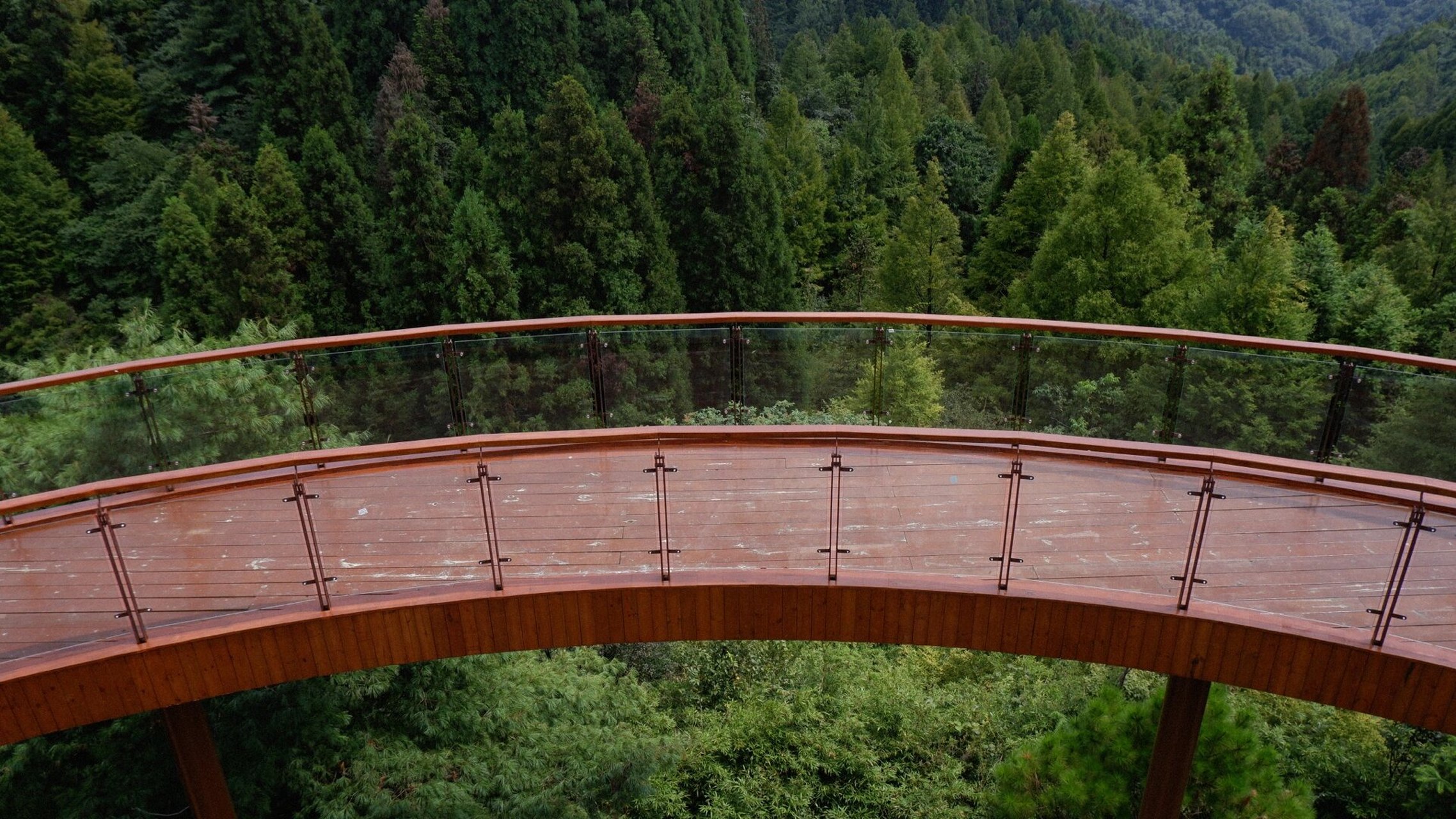 南川|山王坪森林公园99 大口呼吸新鲜空气的感觉 走在全是绿色的路