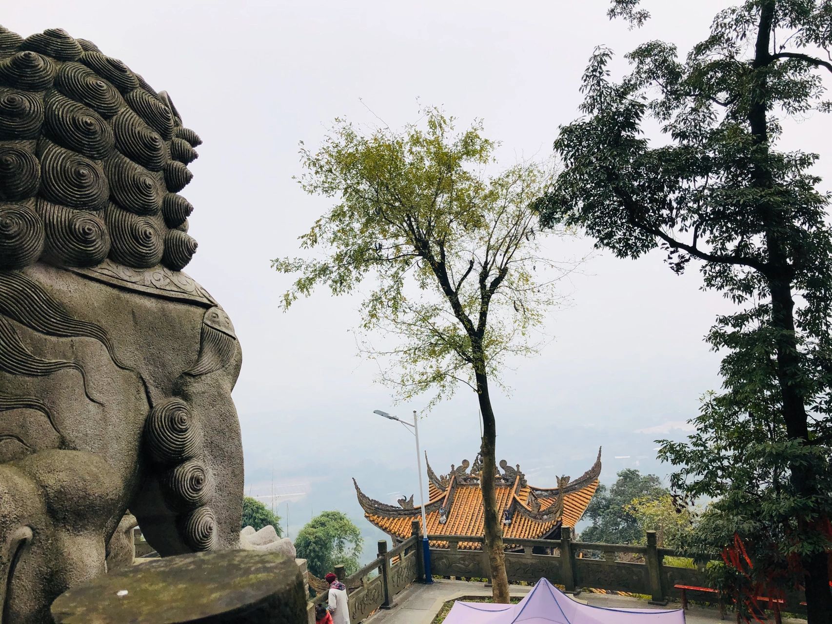 1994年四月和九月出生的属狗人命最苦.