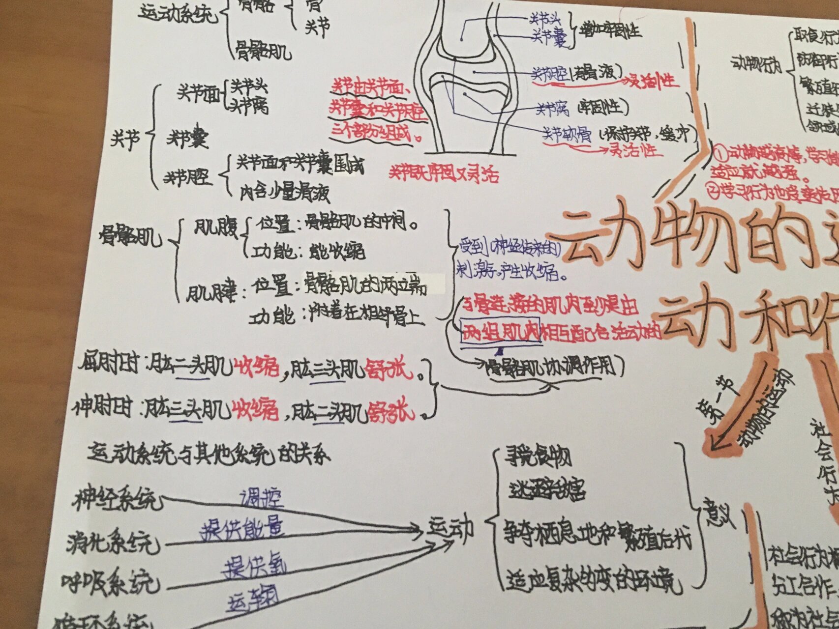 八上生物思维导图全部图片