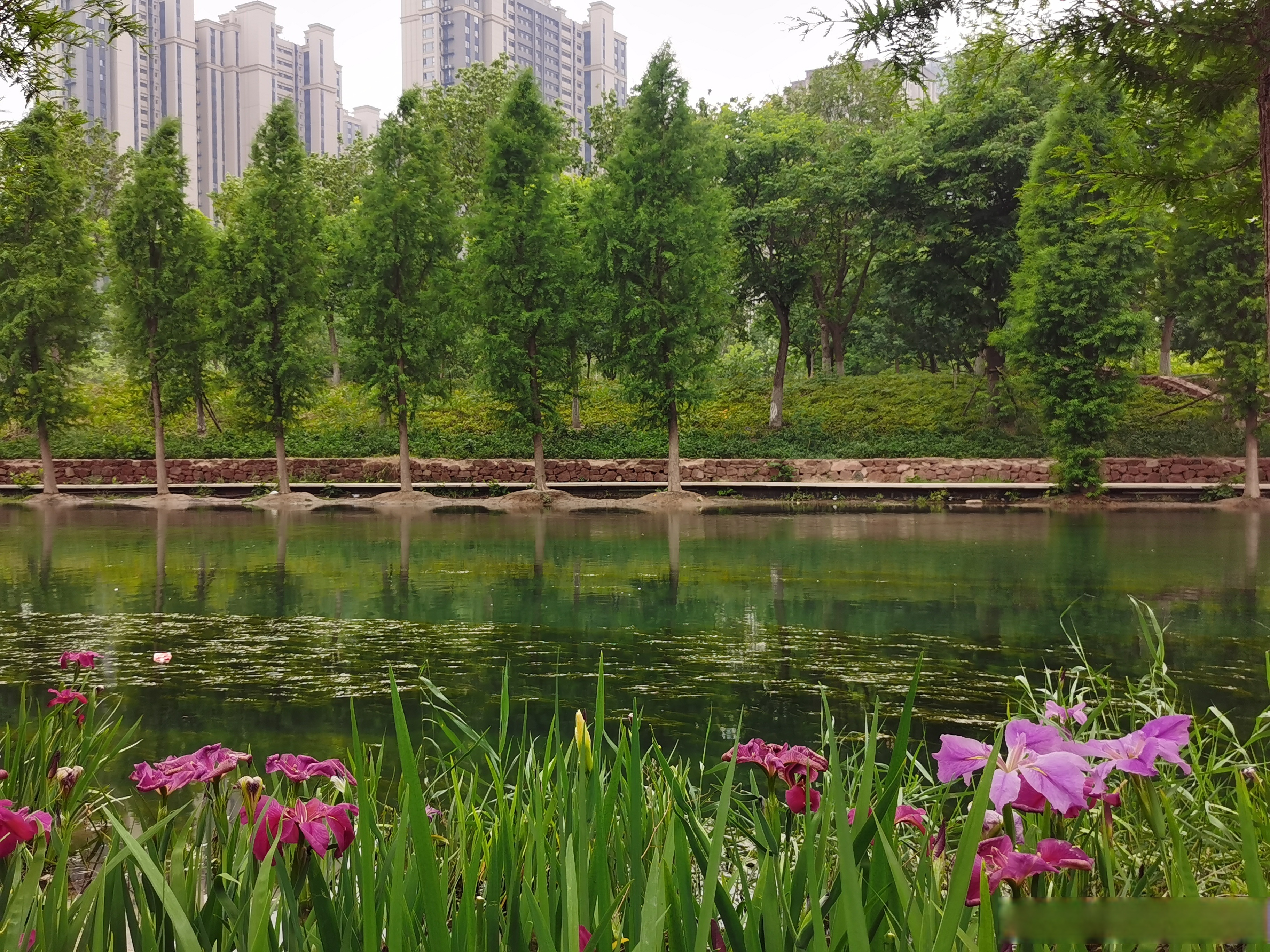 半夜醒来 发现日子偷走了灵感 在乏味枯燥的思考中