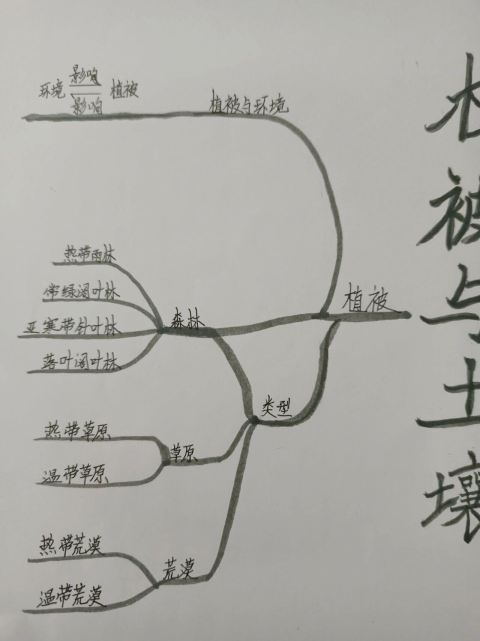 高一地理～思维导图 高中地理必修一第五章《植被与土壤》思维导图