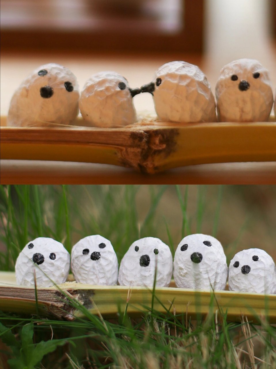 学会101种自然手工|如何制作花生小鸟?