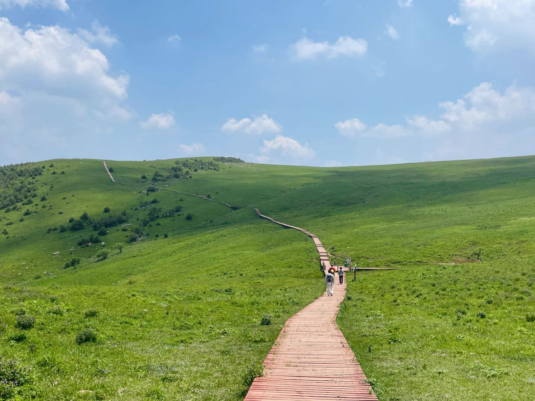 运城周边游|垣曲舜王坪7215 在抖音上刷到关于舜王坪的视频,于是