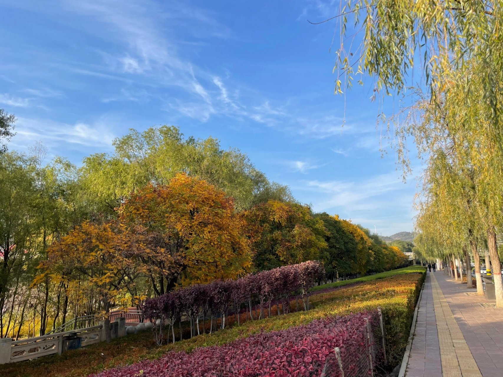 兰州滨河路的秋日风景 随手拍:秋天的兰州黄河风情线