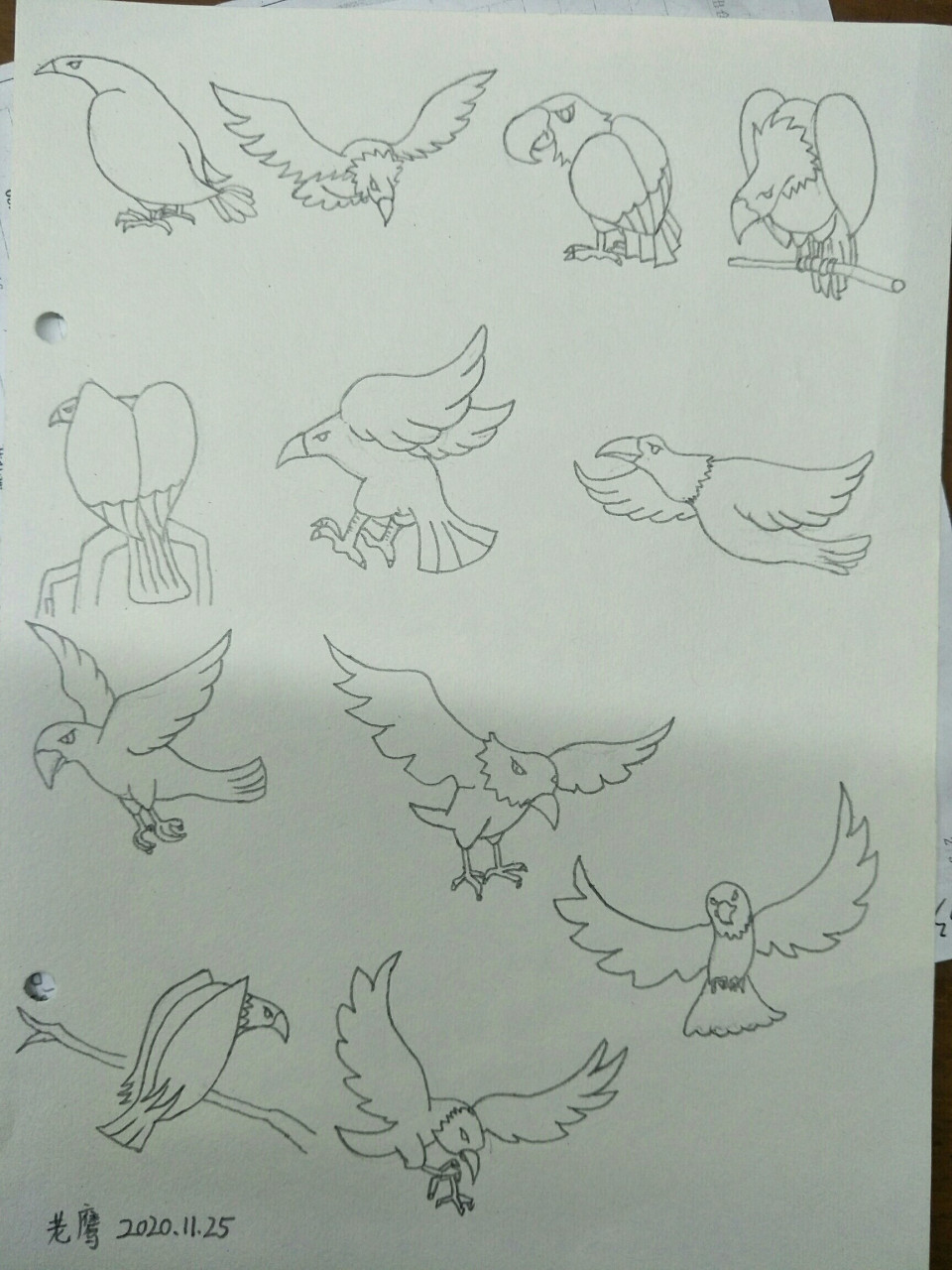 简笔画老鹰,坚持打卡