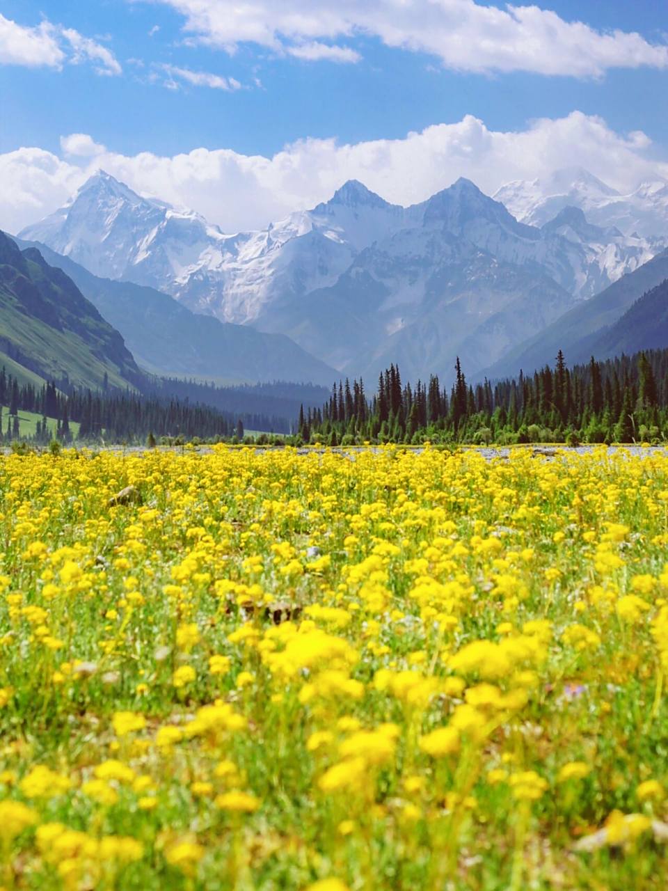 夏塔|我心中的伊犁top1,全方位的绝美风景 夏塔, 距离昭苏县城约一