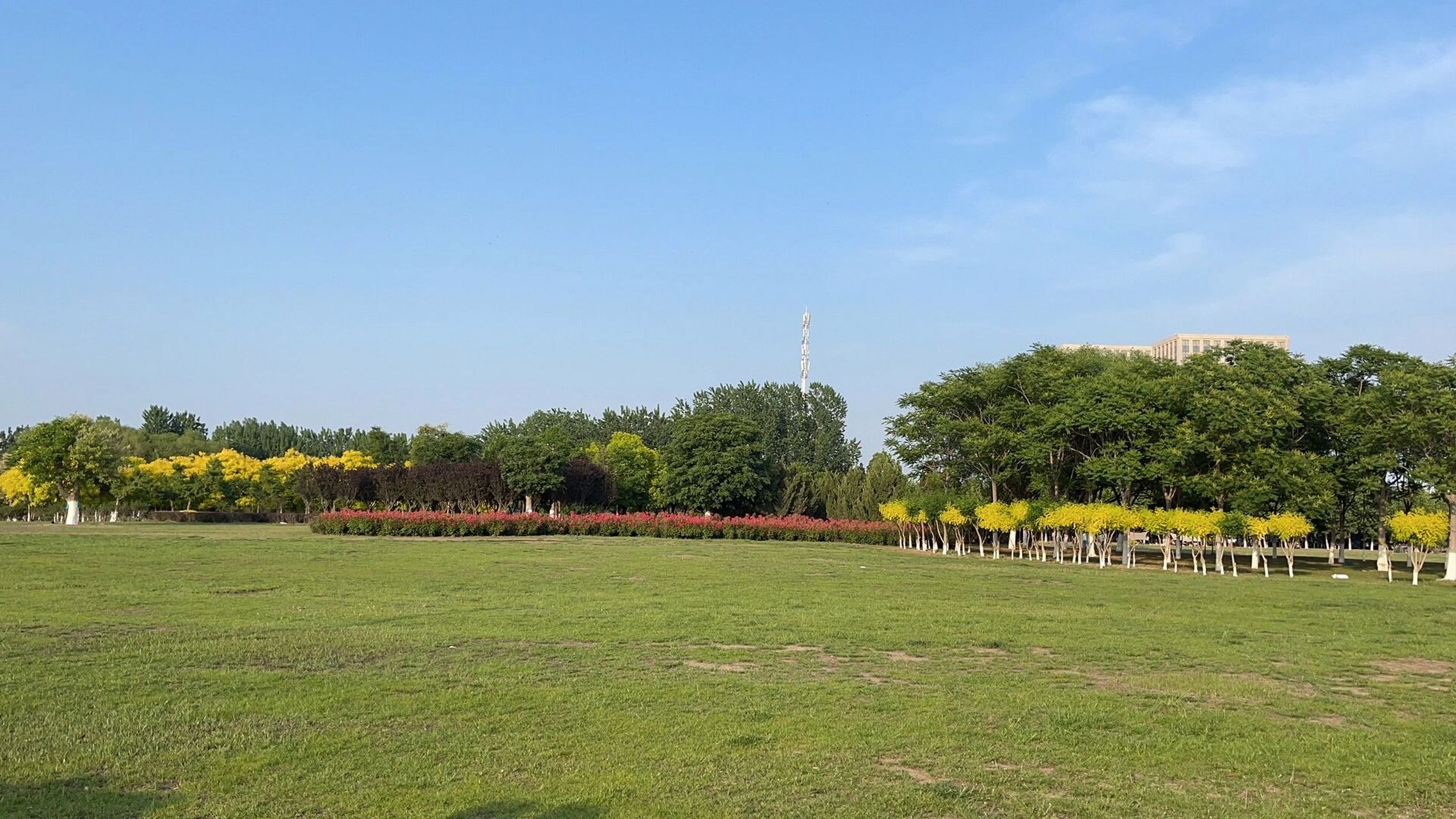 天津津南区免费郊野公园 最近在津南区鄱阳南路发现一个免费的郊野