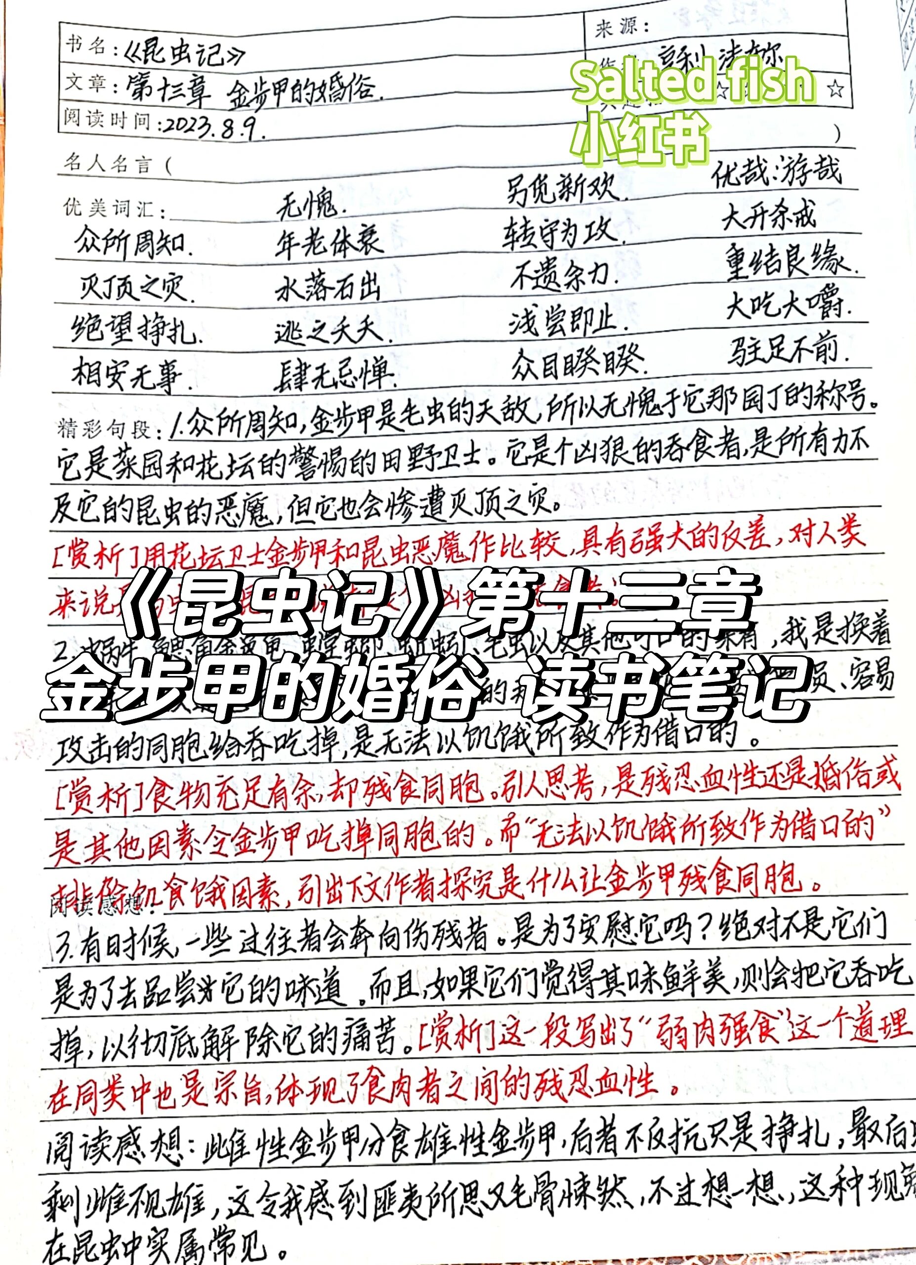 《昆虫记》第十三章 读书笔记 书名:《昆虫记》 文章:第十三章 金步甲