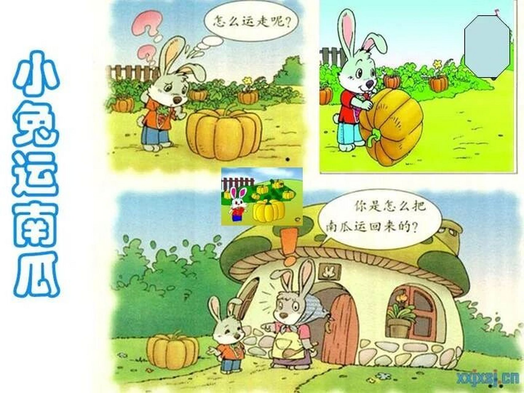 看图写话 小兔运南瓜 晴空万里,阳光明媚的早晨.