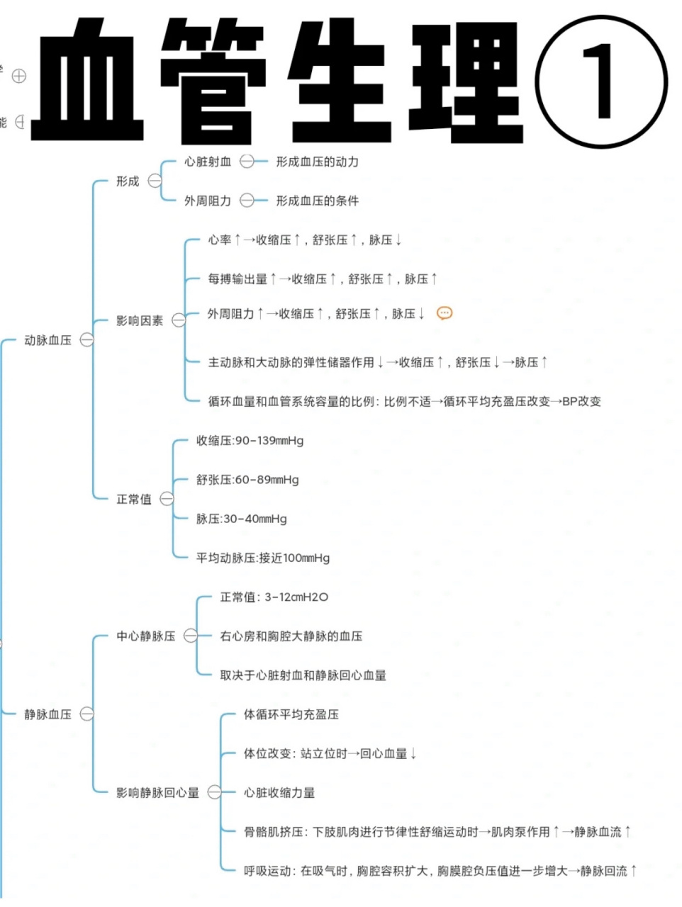 血液,心臟泵血功能,血管生理思維導圖