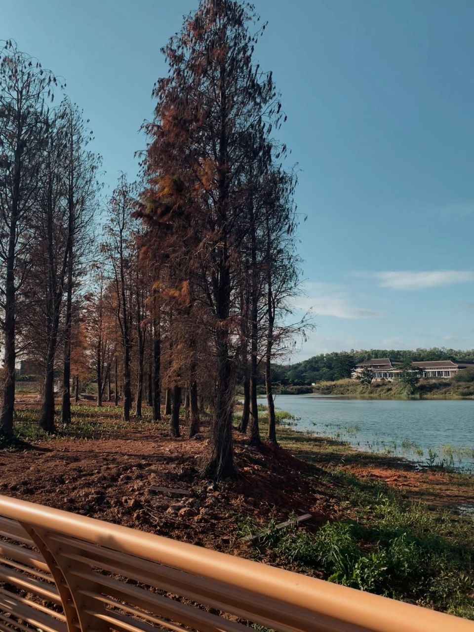 东莞|企石61东清湖湿地公园 7415地址:东清湖湿地公园99东莞