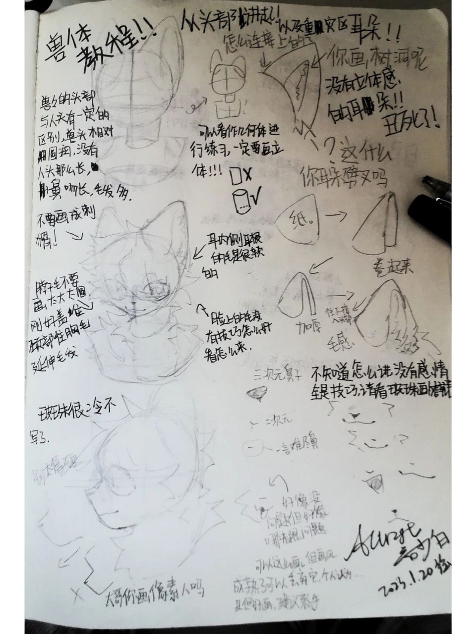 教程!如何画好兽设?