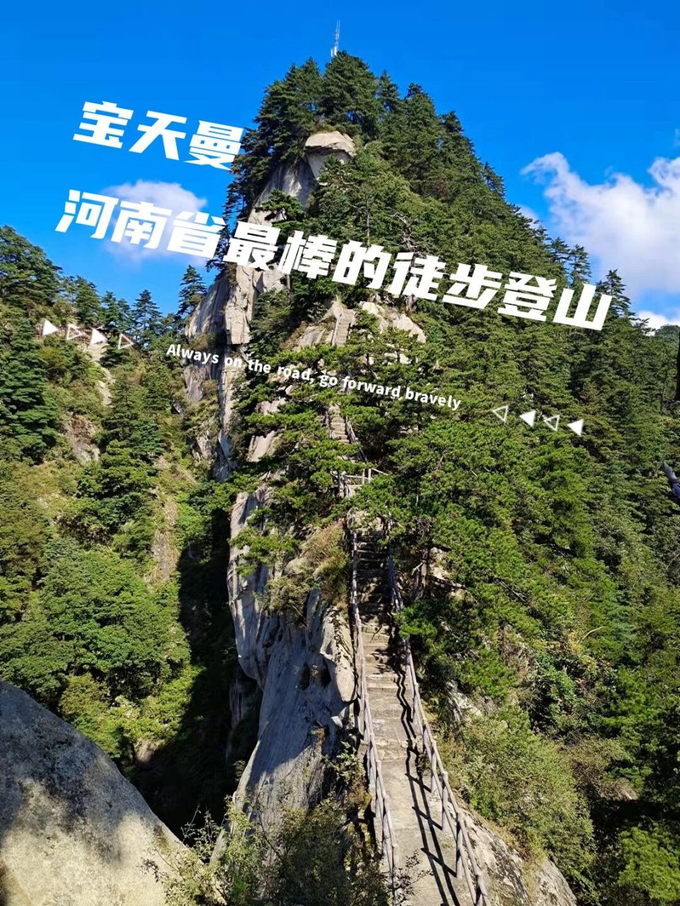 河南省唯一的世界级遗产自然保护区! 景区共分为三个小景区:1.