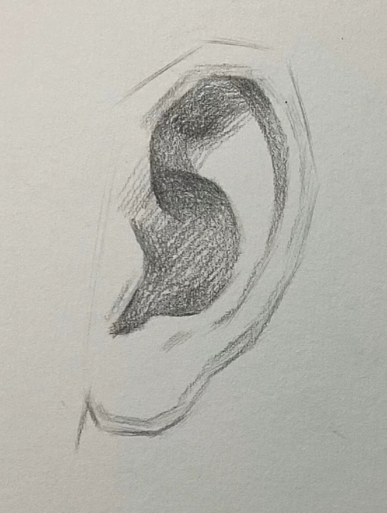 素描耳朵的保姆级教程!一学就会