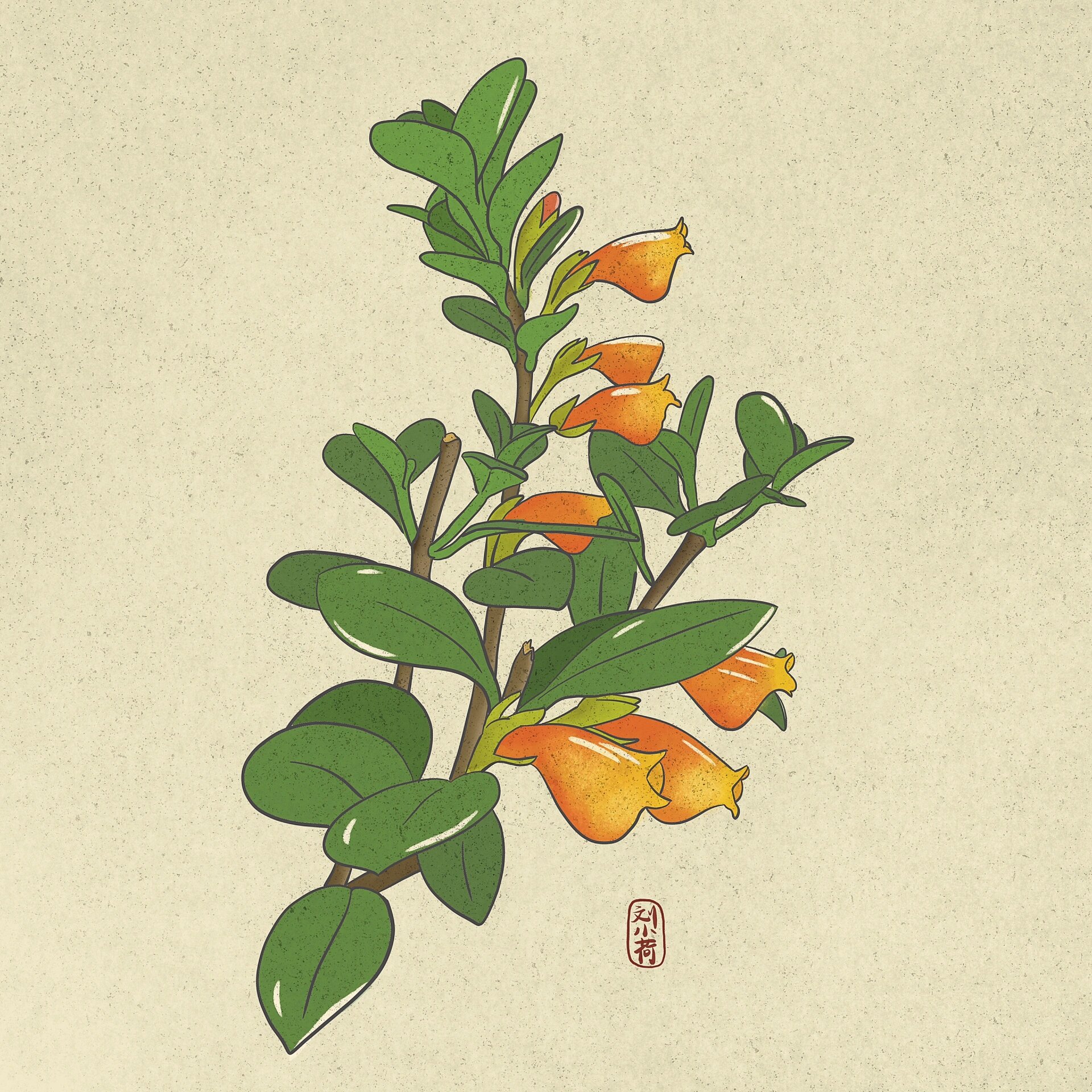 ipad 画画|手绘手机壁纸 金鱼吊兰太可爱了.