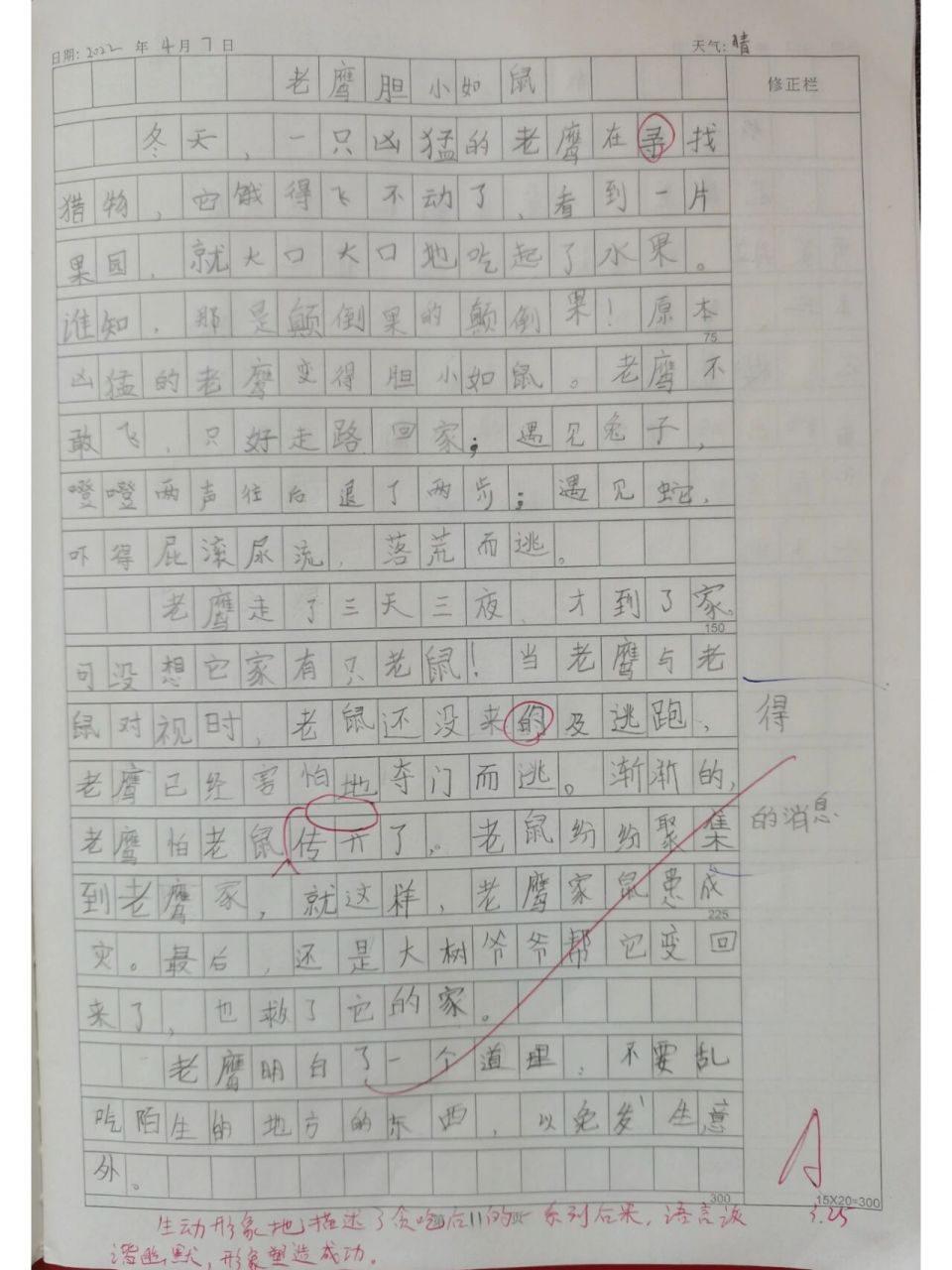 三年级第八单元习作—《老鹰胆小如鼠》   太艰难,终于过关了
