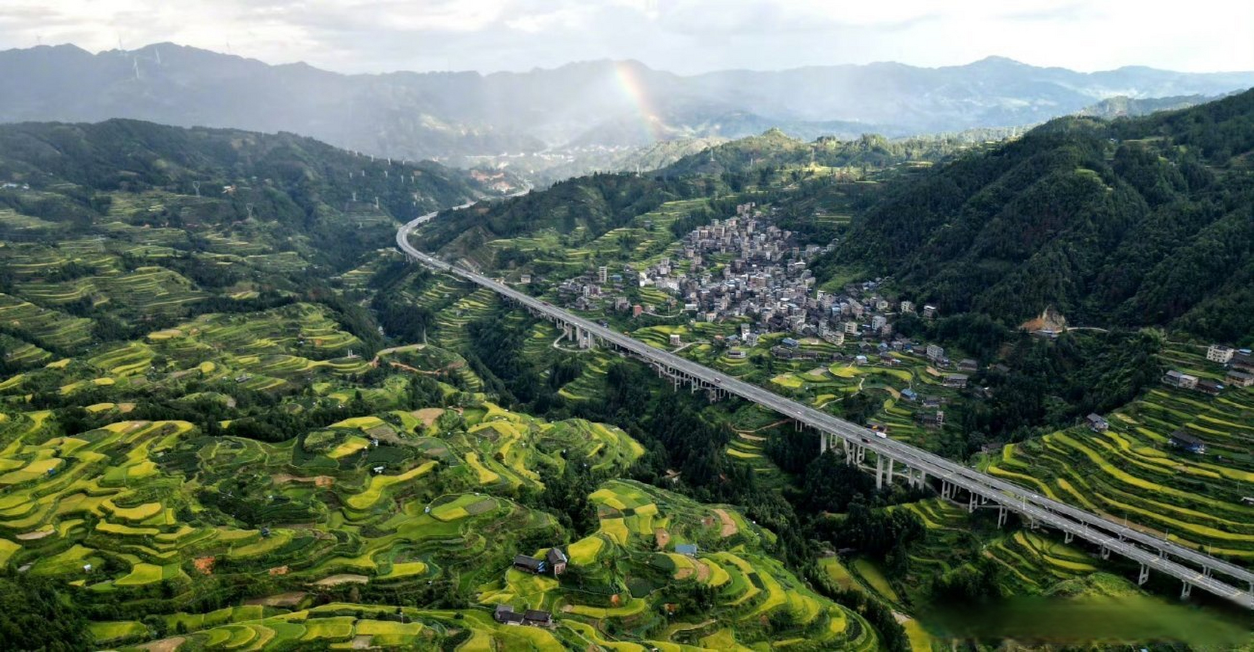 南小团##广西梯田一眼治愈强迫症# 秋色正浓,广西三江县独峒镇的高山