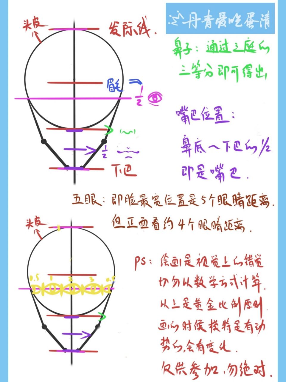 三庭五眼绘画教程图片