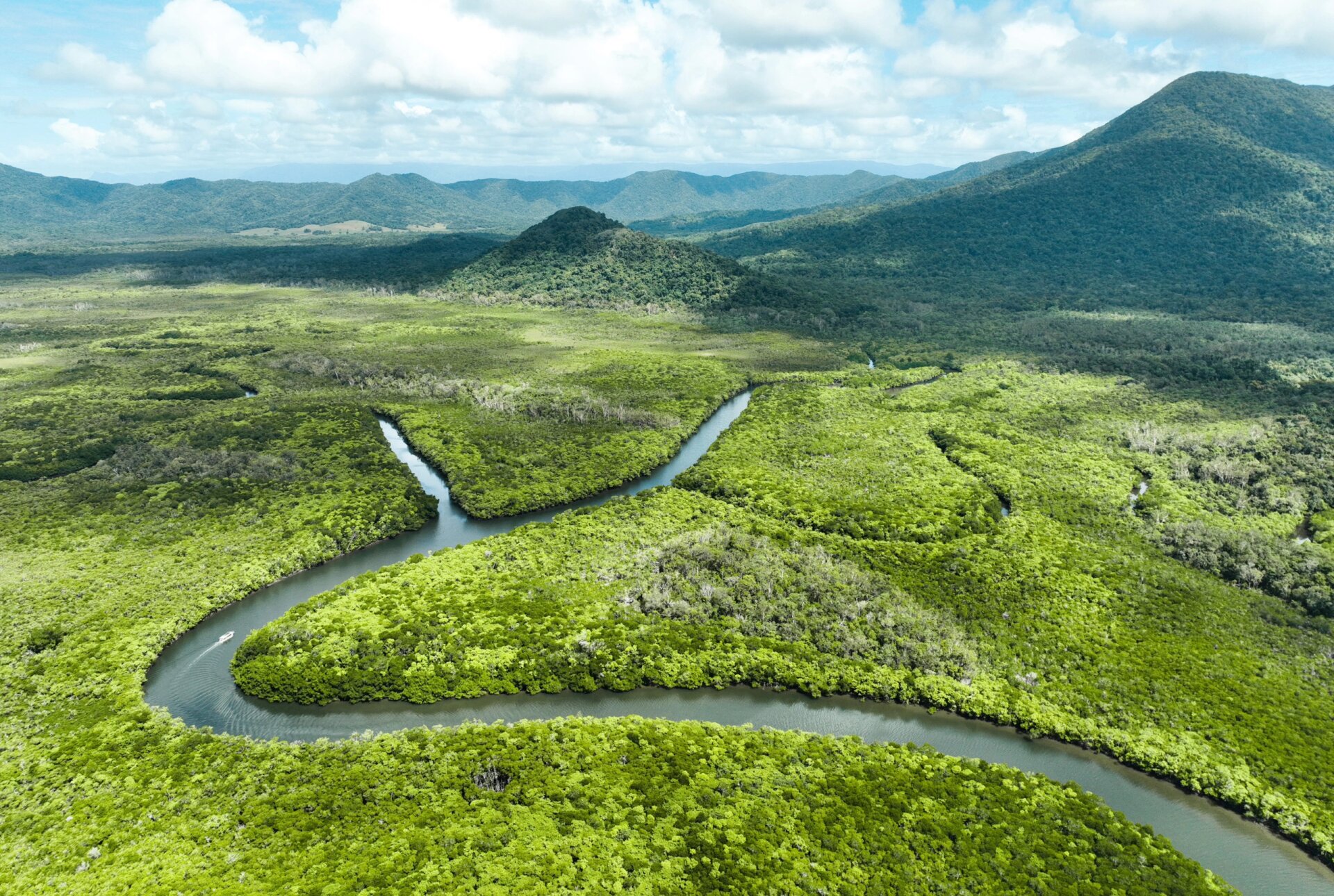 凯恩斯|daintree热带雨林(附航拍攻略 位于凯恩斯北部的热带雨林