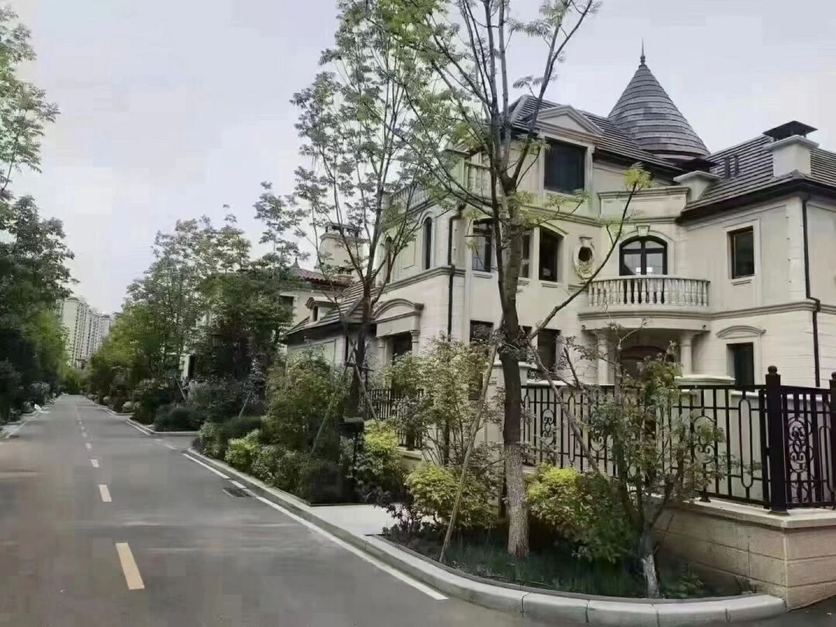 【溪岸艺墅】双拼别墅93700万装修93一天未住 哈市十大豪宅之一