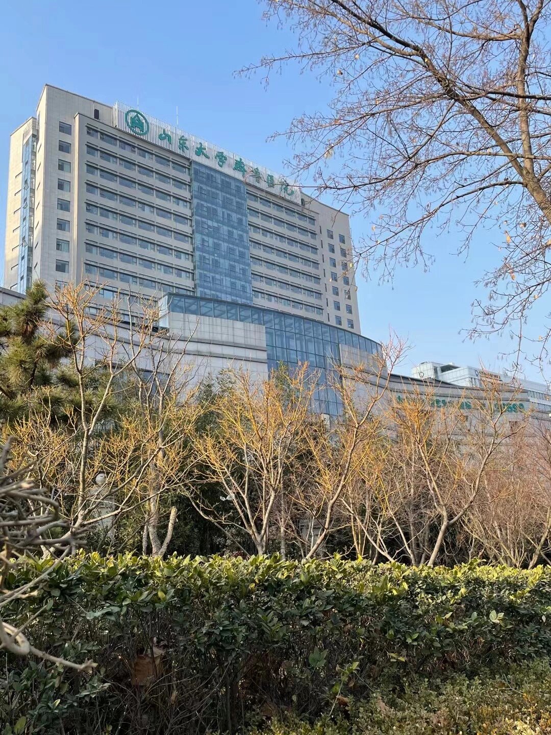 山东大学齐鲁医院