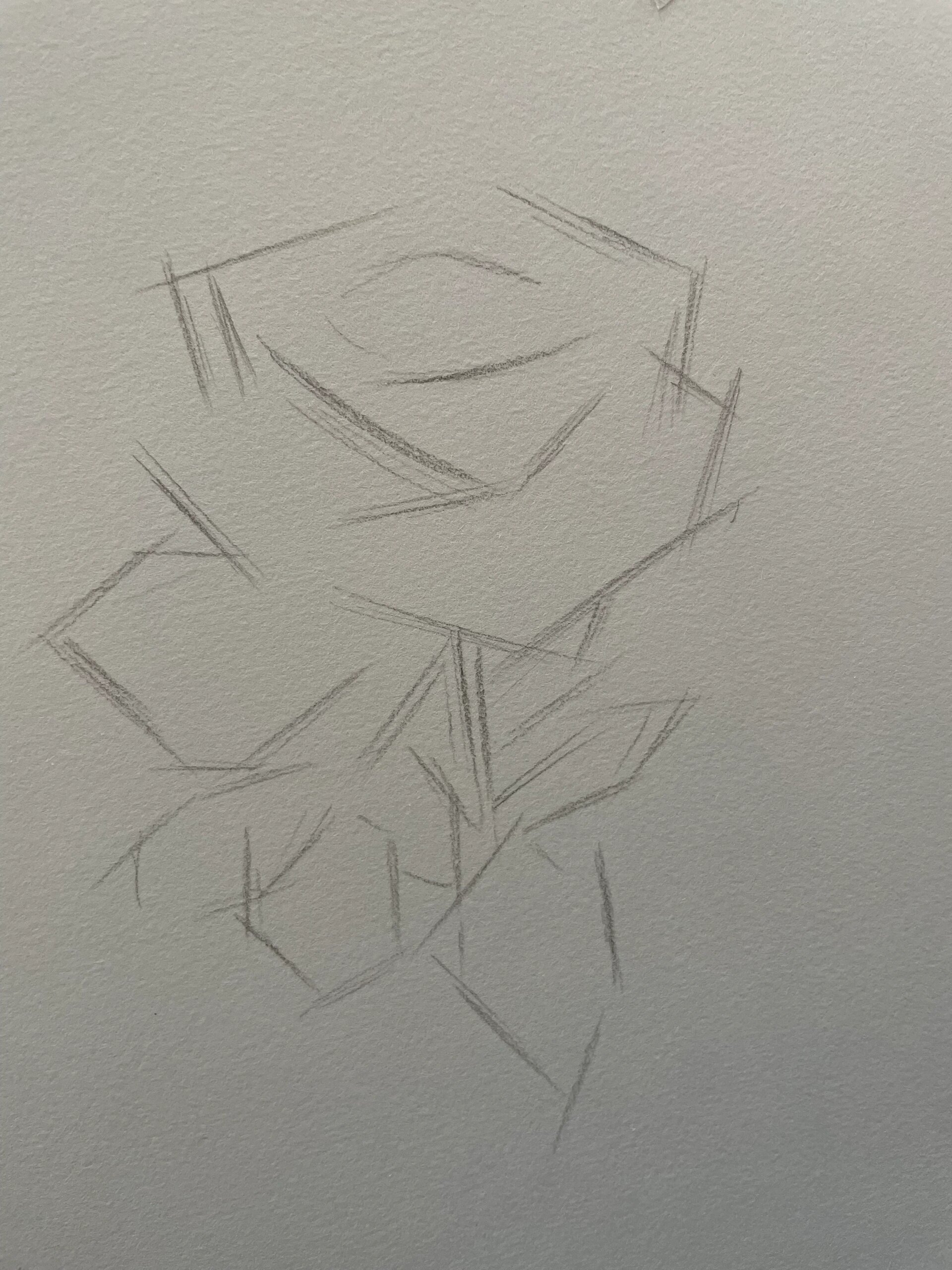 素描玫瑰花95步骤