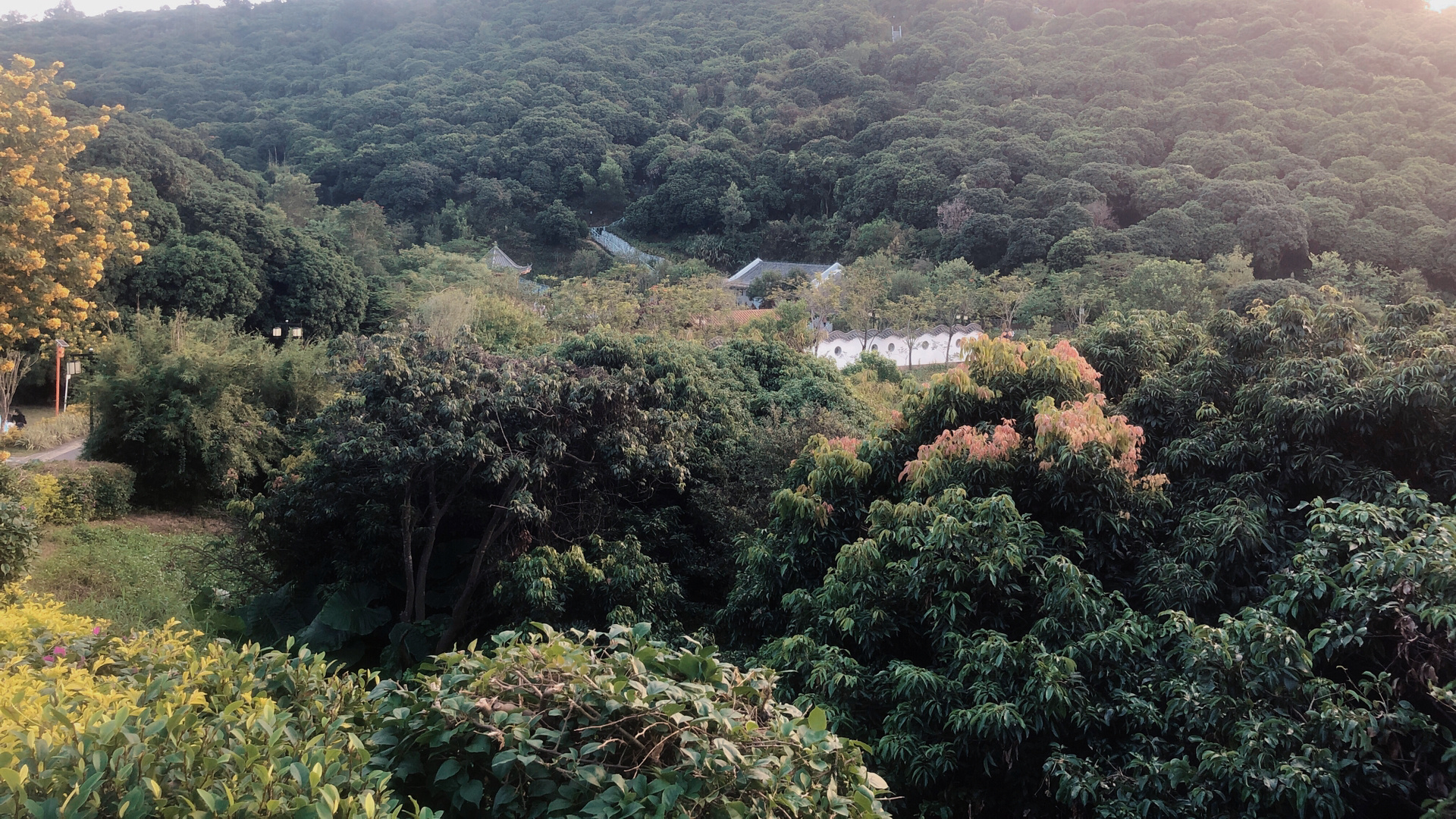 宝安西乡企龙山公园 休闲游