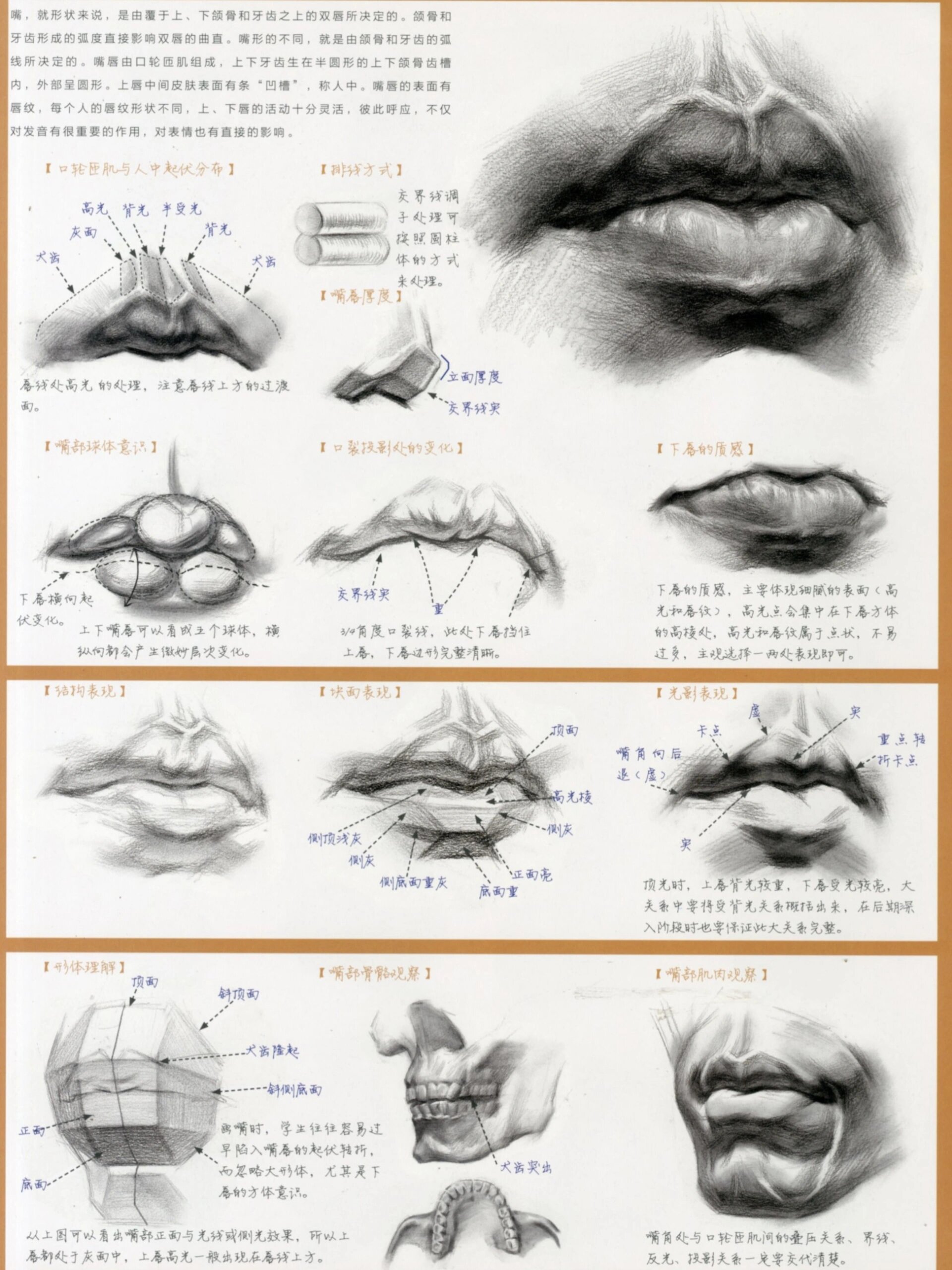 素描人物五官素材分享