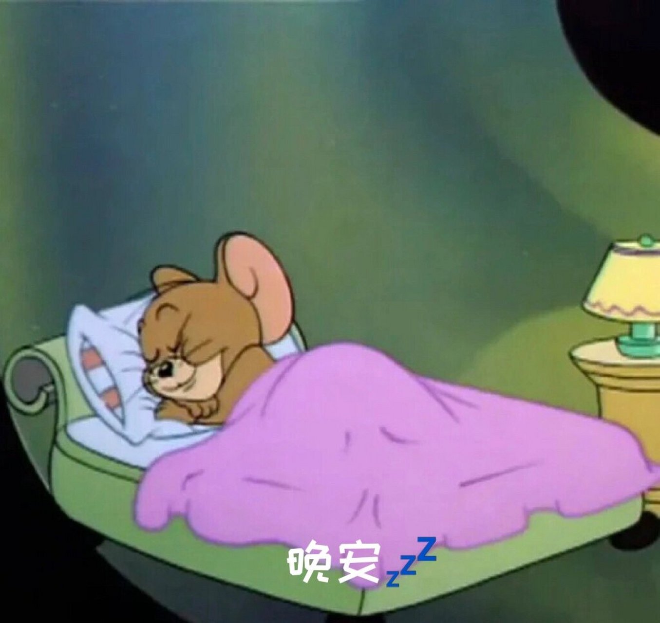 杰瑞的各种晚安💤 太喜欢杰瑞的各种睡姿了,太可爱了 收藏了一些当