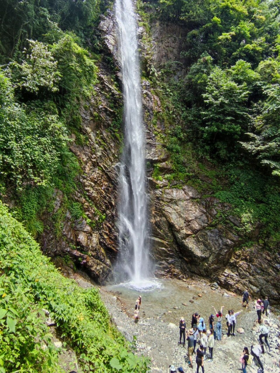 端午徒步招募|中坝迷幻森林 蟠龙谷瀑布 6月23日中坝森林 蟠龙谷瀑布