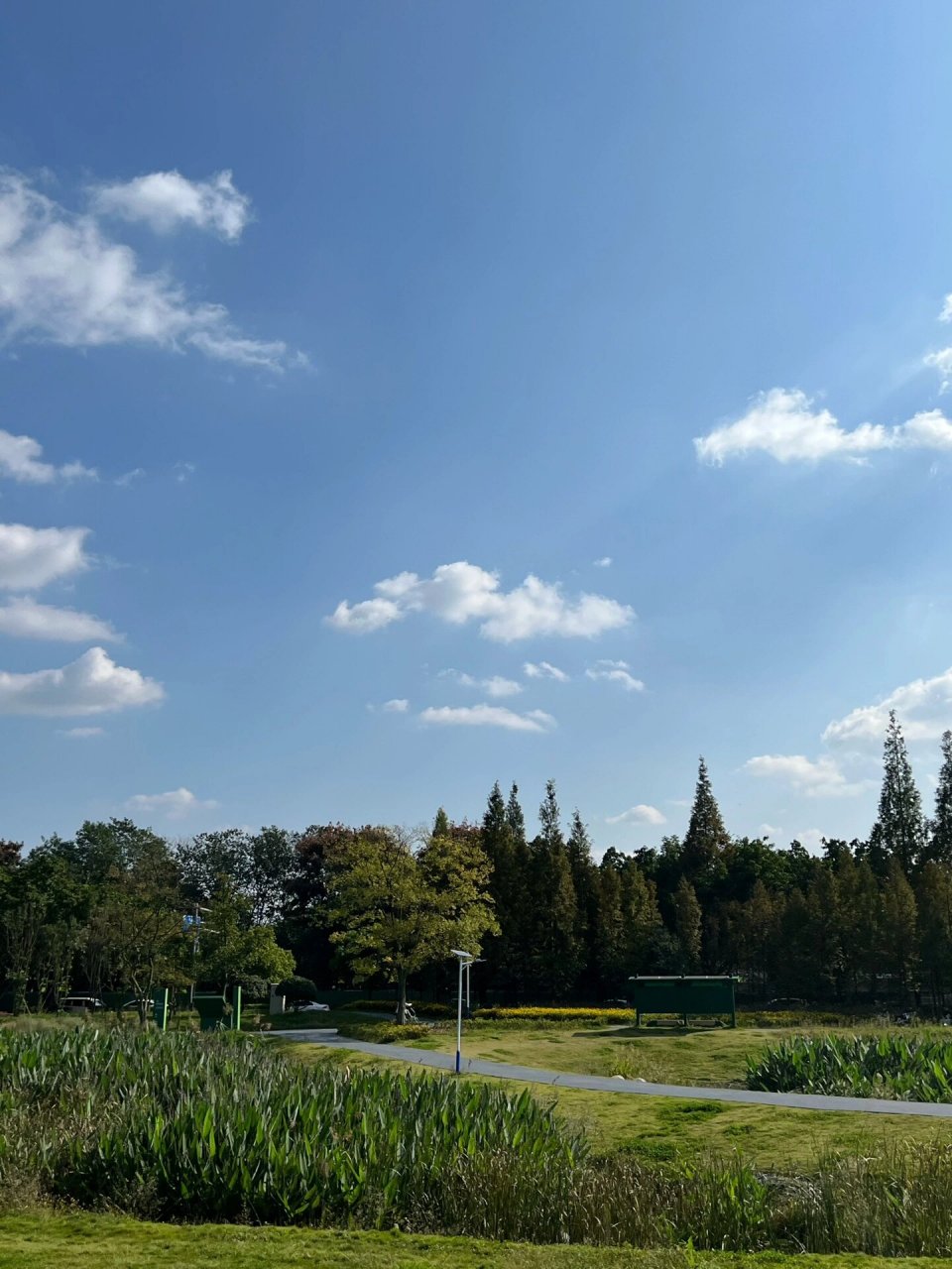周末不知道去那里玩可以去两河城市森林公园,太阳晒起太舒服了,可以