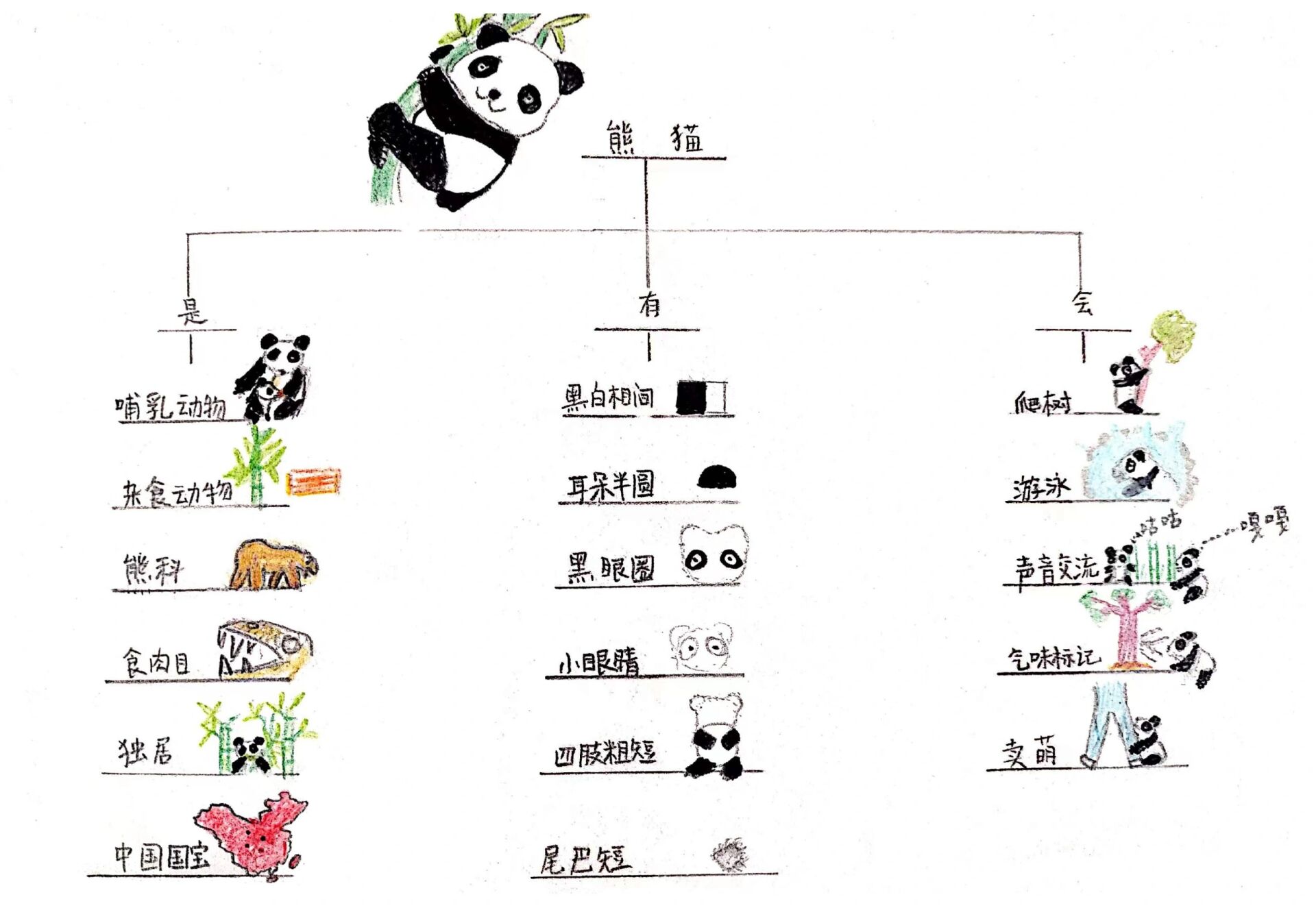 用思维导图就对了  99最近全网都在发布94的消息: 94丫丫回国了