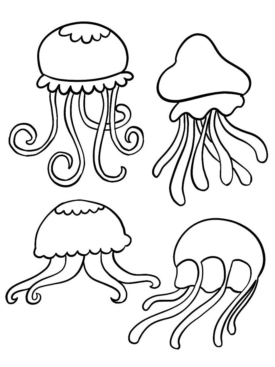 简笔画|水母 44/100 989898