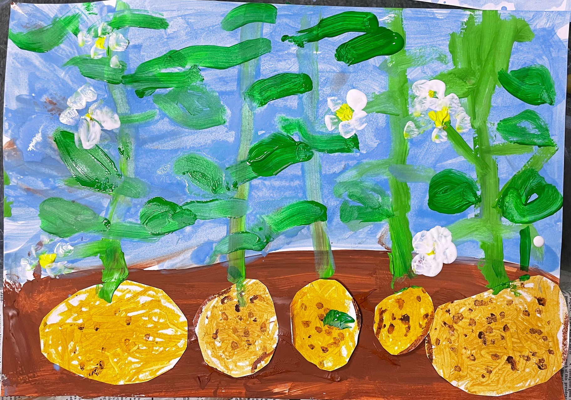 小班创意美术土豆 课题:《呀!