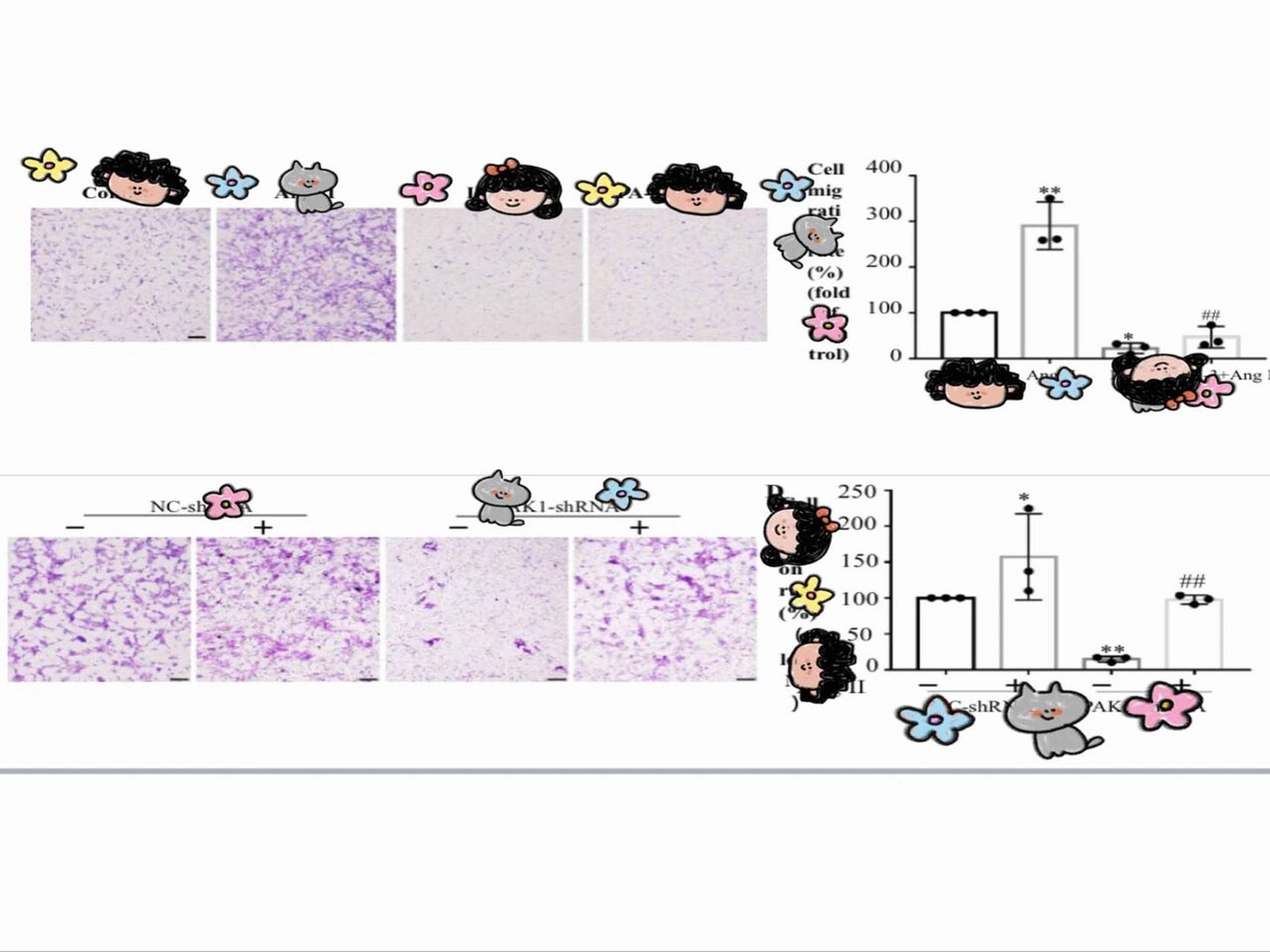 细胞迁移必做实验:transwell(一) 先来波介绍吧:细胞迁移与侵袭实验就