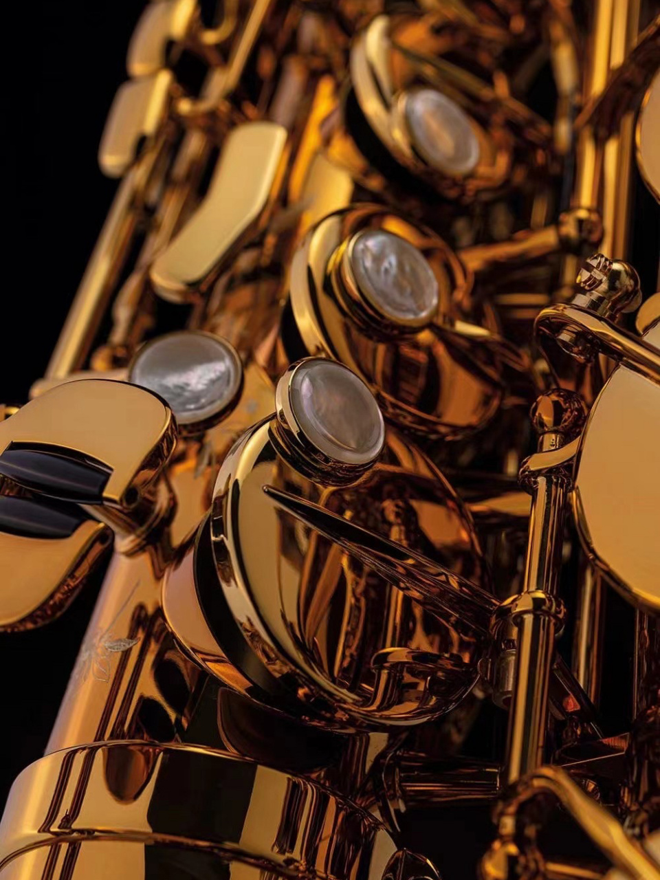 萨克斯selmer supreme 最新款 selmer supreme #萨克斯