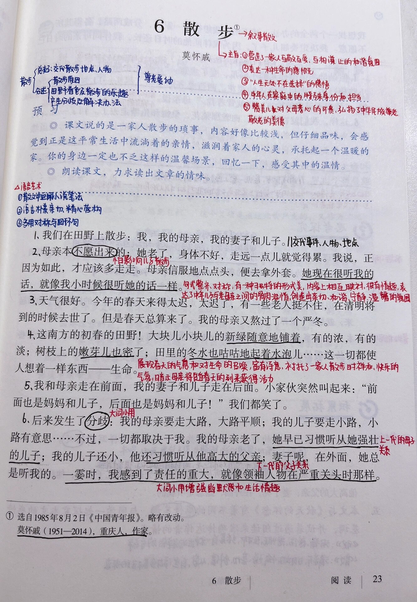 散步的笔记整理图片图片