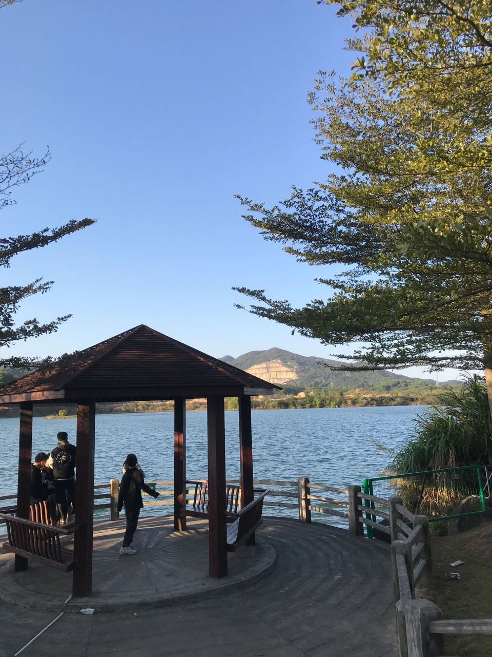 揭阳普宁流沙|南方梅园 每年过年都会来这里,天气晴朗的时候也太好逛