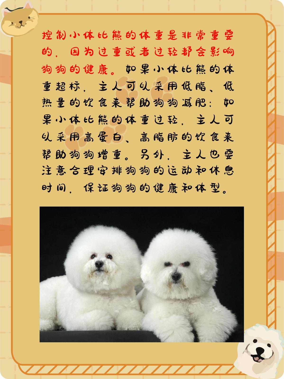 小体比熊体重对照表 我认为,通过以上的介绍,我们可以看出小体比熊的