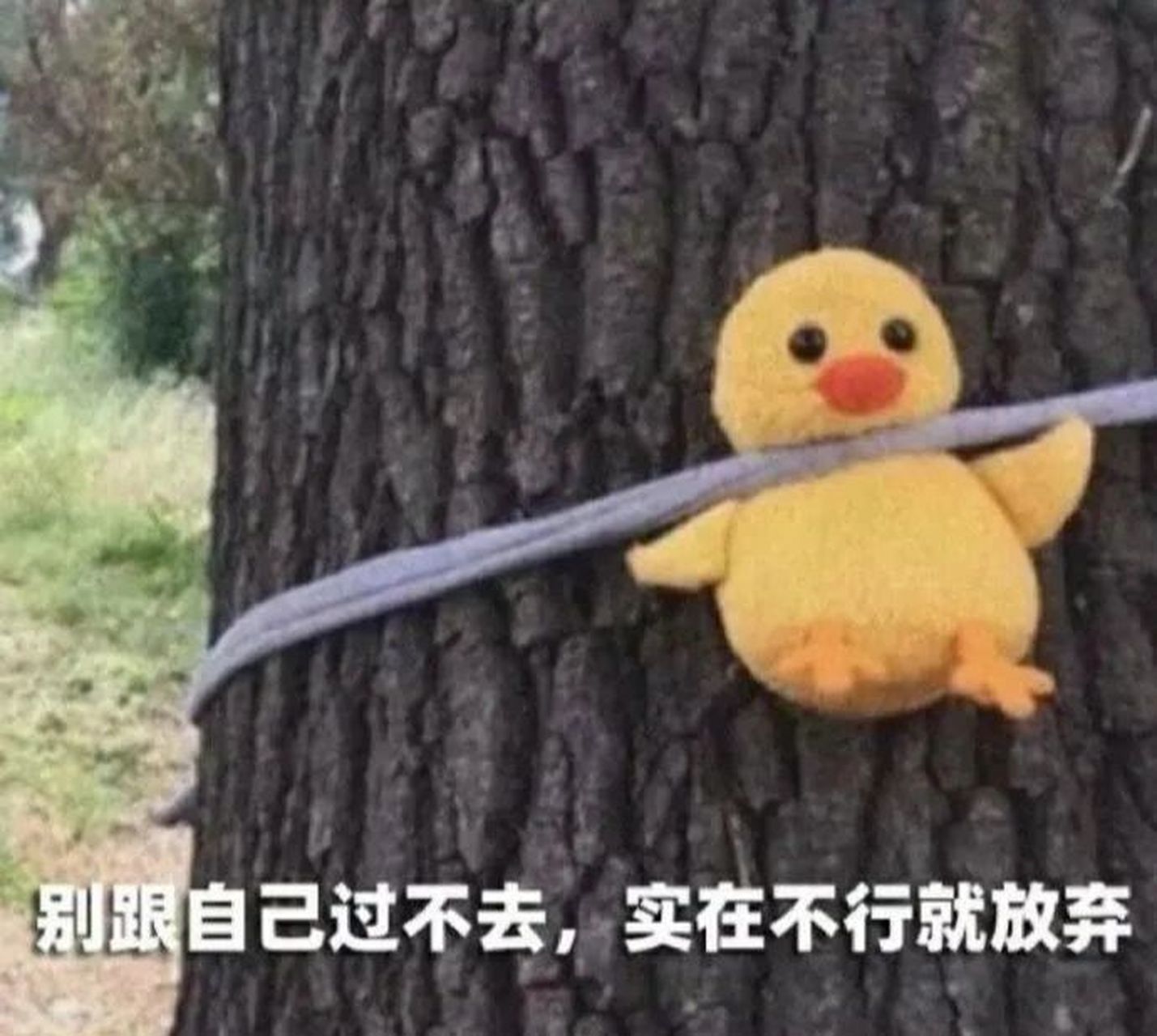 表情包分享:摆烂了 清空相册表情包