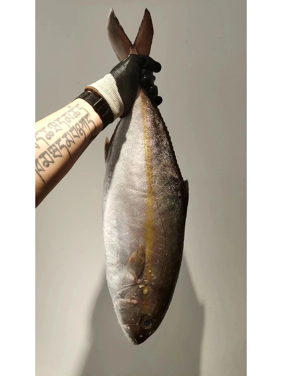 章红鱼刺身 章红鱼刺身,口感清爽,肉质鲜美,吃过就忘不掉的味道