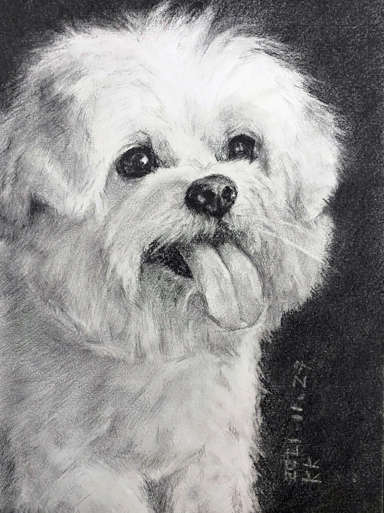 素描可爱小狗狗…一个小过程