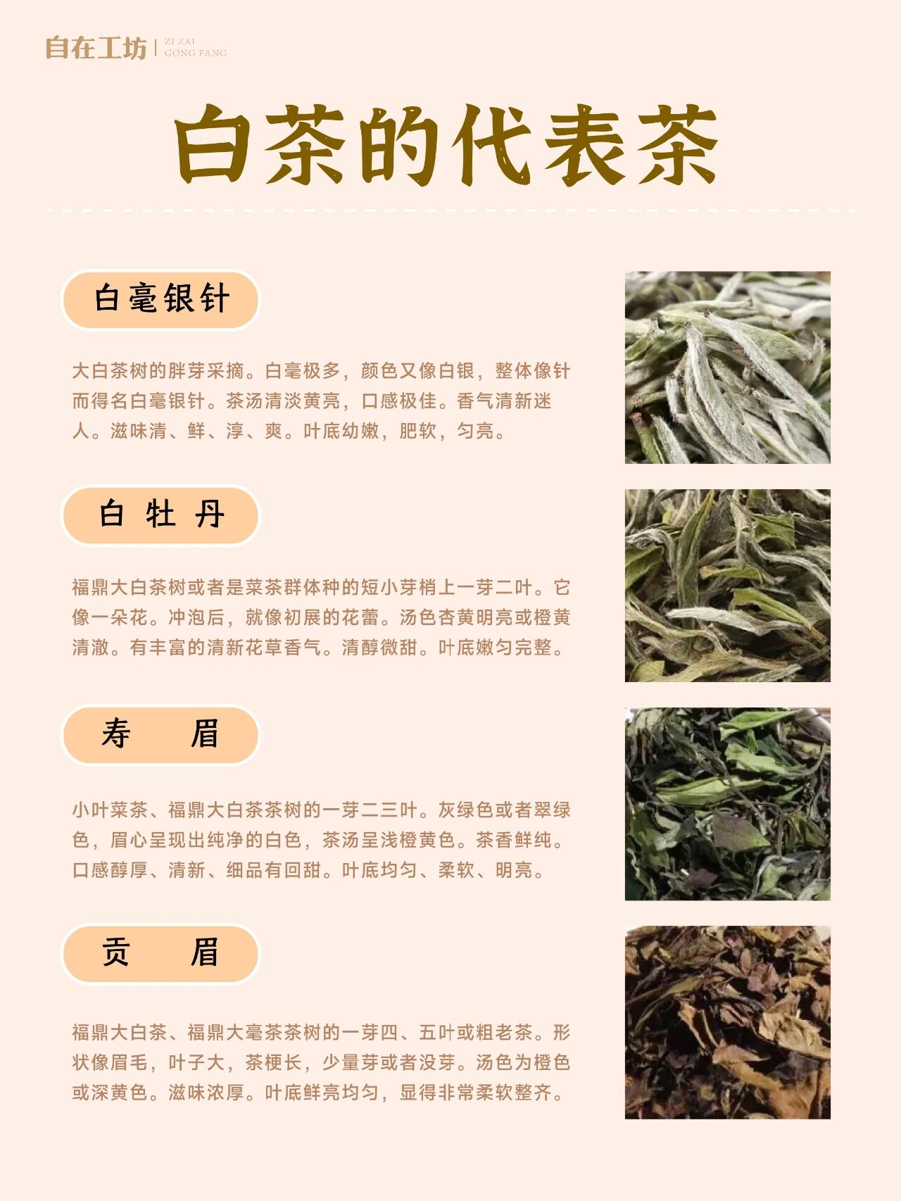 白茶园古树茶口感特点图片