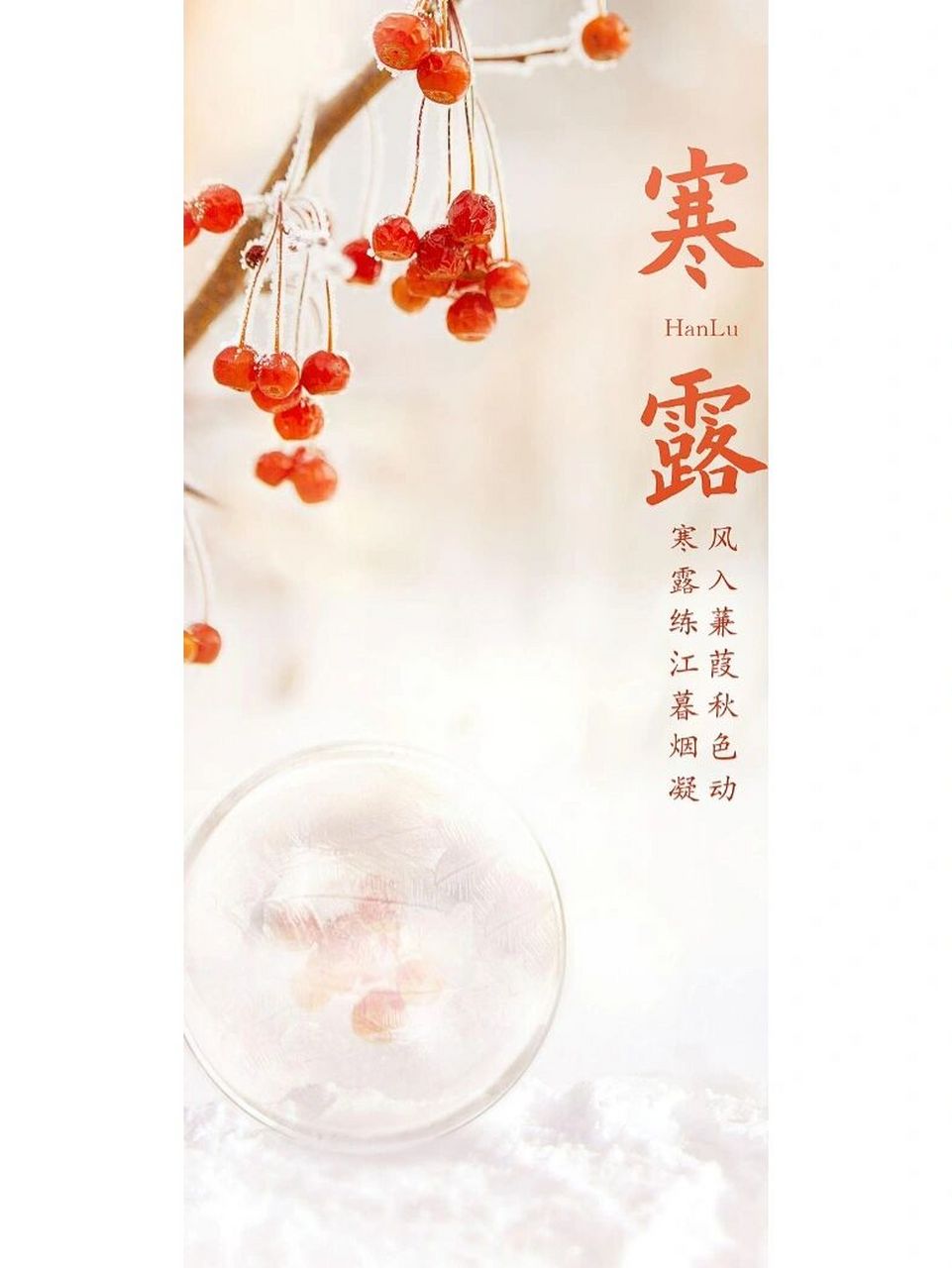 寒露壁纸 | 二十四节气寒露 | 寒露节气文案 93 天高云淡,松青柿红