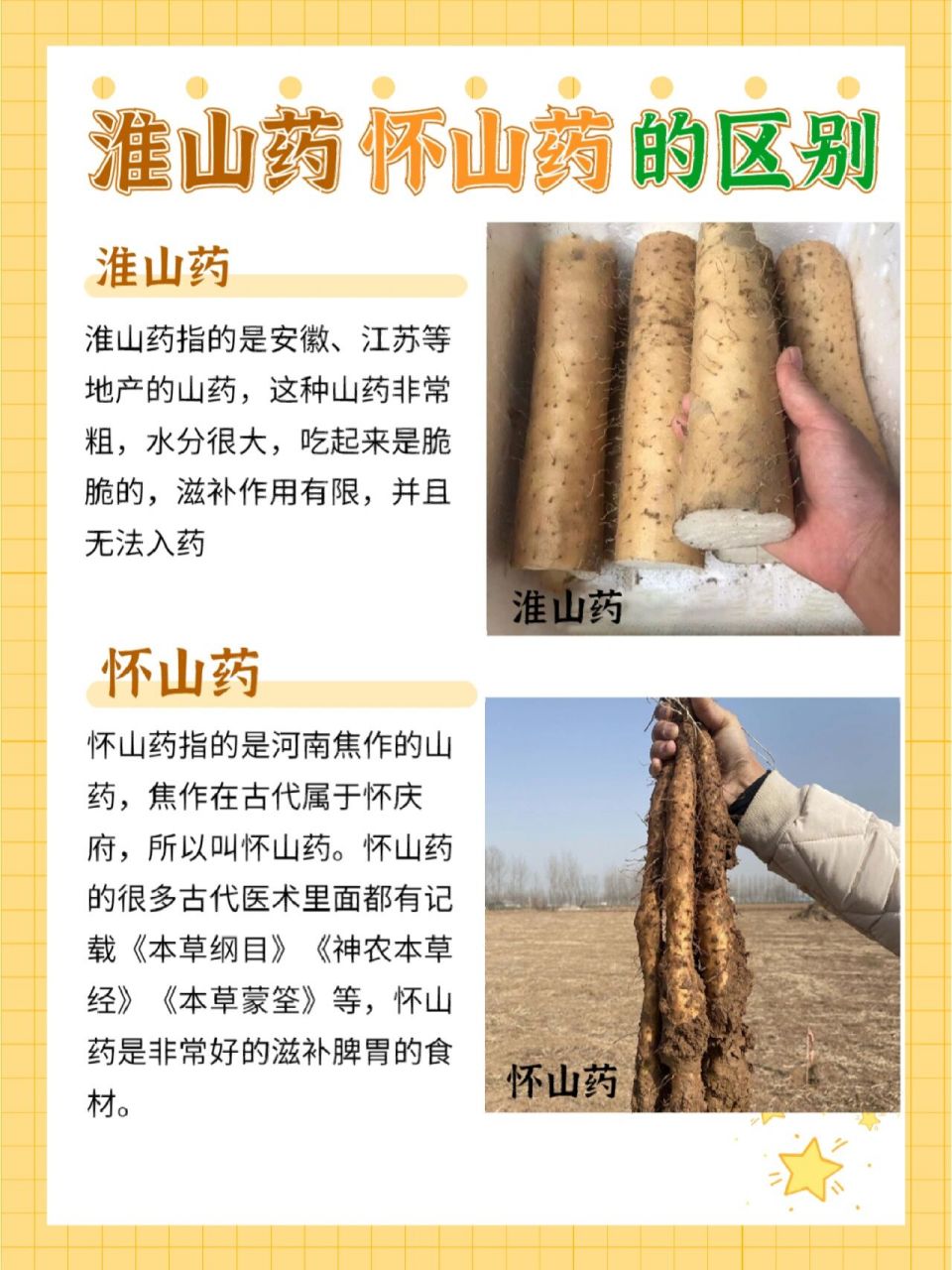 淮山的功效与作用图片