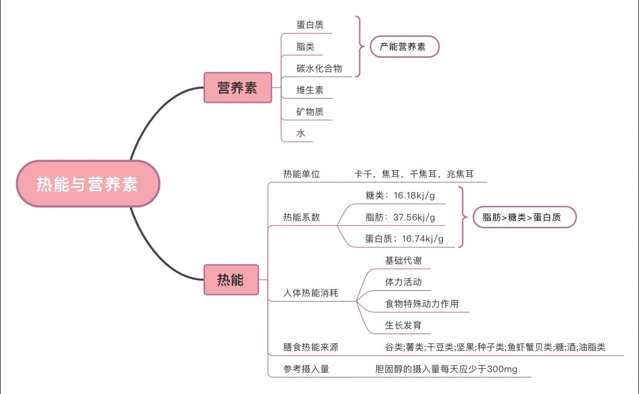 食物思维导图 简单图片